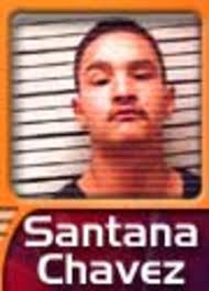 Stolen Pit Bulls Used for Dog Fighting Ring