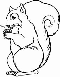 2395x2395 awesome sad face coloring page free coloring pages download. Squirrel Look Very Sad Coloring Page Download Print Online Coloring Pages For Free Color Nimbus