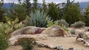 Plants of the desert southwest. Garden Of The Southwest U S National Park Service
