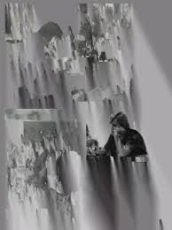 Eckerd College Logos