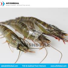 We have 4 other meanings of pdto in our acronym attic. Black Tiger Shrimp Hoso Hlso Pdto Pud Cooked Breaded Frozen Penaeus Monodo Dong Phuong Seafood Co Afishdeal Ecplaza Net