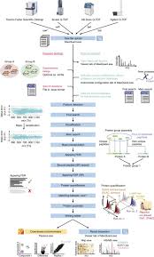 © 2021 rate plus inc. The Maxquant Computational Platform For Mass Spectrometry Based Shotgun Proteomics Nature Protocols