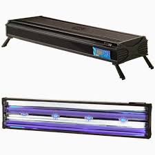 T5ho Proven Lighting For Your Reef Aquarium Marine Depot Blog