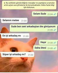 Bu Sey Gibi Adrien Ve Marinette Nin Konusmasi Gibi She Just Friends Adrien Agreste 2020 Komik Seyler Komik Capsler Komik