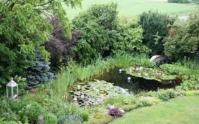 Teich Des Schaugarten Hamilton In Deutsch Wagram Garten Orte Zum Besuchen Parks