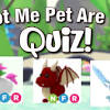 In this quiz, i will test your knowledge about the roblox, adopt me game! 1