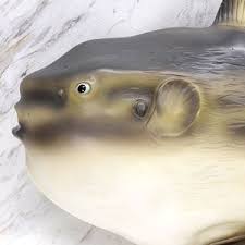 Get the best deal for aquarium artificial corals from the largest online selection at ebay.com. Ocean Sunfish Vinyl Model Animal Figure Hobbysearch Toy Store