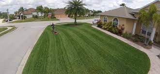 Lawn care fertilizers and pesticides. The Lawn Care Nut Archives Toro Yard Care Blogtoro Yard Care Blog