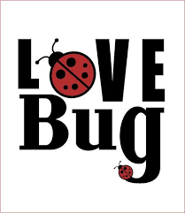 Pin By Bert Chalmers On Ladybugs Love Bugs Ladybug Ladybird