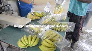 Two color touch screen 7, one for packing machine, another for multihead weigher. Banana Packing Machine Youtube
