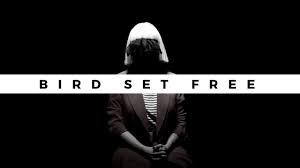 Bird set free es una canción interpretada por sia, publicada en el álbum this is acting en el año 2016. Sia Bird Set Free Subtitulado Al Espanol Youtube