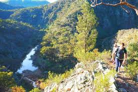 Werribee Gorge Circuit Walk Adventure Edition Adventureme State Forest Scenery Trip