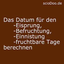 Das Datum Fur Den Eisprung Befruchtung Einnistung Und Fruchtbare Tage Berechnen Sciodoo