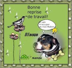 Lol guru vous propose 750 bandes annonces de 215 films. Carte Bon Retablissement Pour Sad Et Bernard Le Monde De Nanou