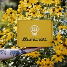 Illumicrate For Book Lovers Book Lovers Subscription Boxes For Kids Books