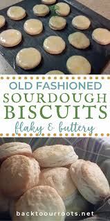 Flaky Buttery Old Fashioned Sourdough Biscuits Back To Our Roots Sourdough Biscuits Sourdough Biscuit Recipe
