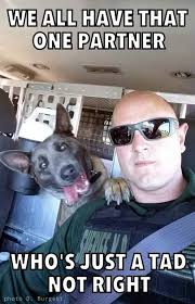 We Wanted To Share A Photo Of Santa Rosa County Sheriff S Office Newest K 9 Team Deputy Burgett A Funny Animal Memes Cute Animal Memes Funny Animals