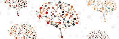 Barbara boxer | the thrill of the fight back. Consciousness And The Brain In A Dish Genomics Education Programme