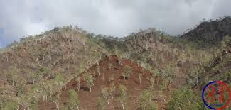 In alphabetical order, these municipalities are: Timor Leste Confirming Willingness To Develop Bri Oboreurope