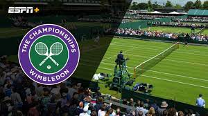 Follow the tennis match between fabio fognini and laslo djere live with eurosport. 26 Fognini Vs Djere Gentlemen S Second Round Watch Espn