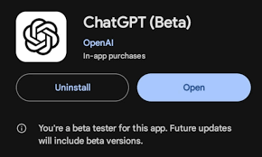 快開戶！教你毋需電話號碼註冊ChatGPT！Android 手機直接下載App ...
