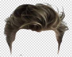 More icons from this author. Woman Hair Hairstyle Male Boy Bangs Comb Pompadour Adolescence Transparent Background Png Clipart Hiclipart