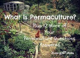 what is permaculture plus 12 more of your permaculture questions answered arador permaculture permaculture gardening sustainable garden