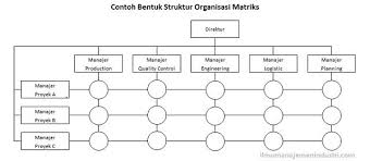 Pada perusahaan berskala besar pasti memiliki bagan struktur organisasi yang lebih kompleks. Struktur Organisasi 4 Fungsi Utama Dan Contoh Membuatnya Hr Note Indonesia
