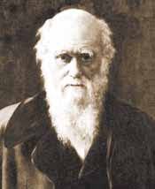 Ben Starks's Instagram, Twitter & Facebook