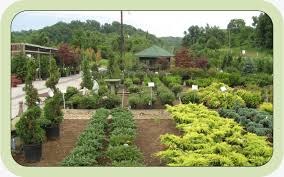 Maybe you would like to learn more about one of these? Nursery Garden Center Northwest Arkansas