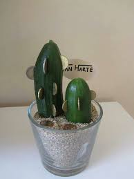 Grappig Geld Kado Cucumber And Coins To Resemble Cactus Geld Geven Verjaardagsgeld Geschenken Verjaardagscadeautjes