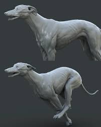 In the early days of wwii, an international convoy of 37 allied ships, led by captain ernest krause (tom hanks) in his first command of a u.s. English Greyhound Gallery Area By Autodesk
