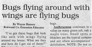 You can draw your own pictures in, write in which bible character you'd like to feature in certain articles and more! 25 Funny Newspaper Headlines To Crack You Up Best Life