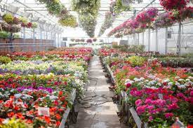 Check spelling or type a new query. The Best Houston Garden Centers For Backyard Makeovers 2021