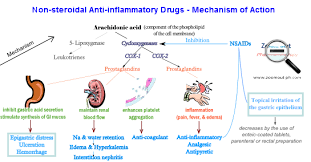 Pin On Zoom Out Pharmacotherapy