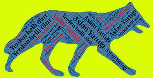 turkce panosundaki pin