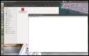 Make projector the default swf player under ubuntu. Winehq Adobe Flash Player Projector 12 0 0 44