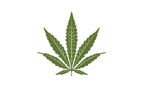 You can copy, modify, distribute and perform the work, even for commercial purposes, all without asking permission. Single Pot Hemp Cannabis Marijuana Leaf Graphic By Enola99d Creative Fabrica