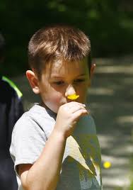 Youngsters, adults enjoy stories, nature