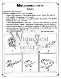 Metamorphosis Mini Lessons Metamorphosis Drawing Activities
