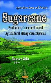 Do you want to receive updates and the most interesting articles every day? Pdf Environmental Impacts Of Sugarcane Production Processing And Management A Chemist Perspective