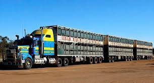 When i saw the door begin to open i was scared out of my bones/wits/blood. Road Train Wikipedia