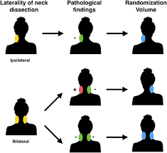 You can also download examiner comments for each video. Preservation Of Swallowing In Resected Oral Cavity Squamous Cell Carcinoma Examining Radiation Volume Effects Preserve Study Protocol For A Randomized Phase Ii Trial Radiation Oncology Full Text