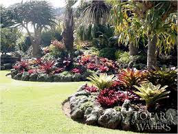 Gardening In South Florida Bromeliads In The Garden Florida Landscaping Tropical Garden Design Florida Garden