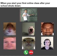 Pin By Liv Ware On Memes In 2020 Funny Relatable Memes Really Funny Memes Stupid Funny Memes