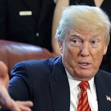 Want to better understand Donald Trump's presidency? Read Tom Wolfe