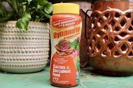 Add anything here or just remove it. Cactus Succulent Food Plant Food Food Plus Succulents