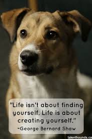 The Most Inspirational Quotes Of The Year Dog Quotes Dog Quotes Funny Animal Quotes