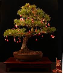 Below you'll also find a few extra savings tips and faqs to help you during your purchase decision. 20 New For Bonsai Christmas Tree Decorations Pink Wool