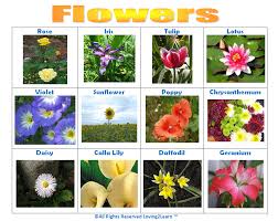 Maybe you would like to learn more about one of these? Print Off This Flowers Chart Www Loving2learn Com Flower Images With Name Flower Garden Plans All Flowers Name